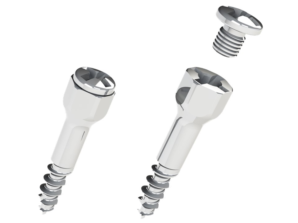 GBR_Tenting_Screw